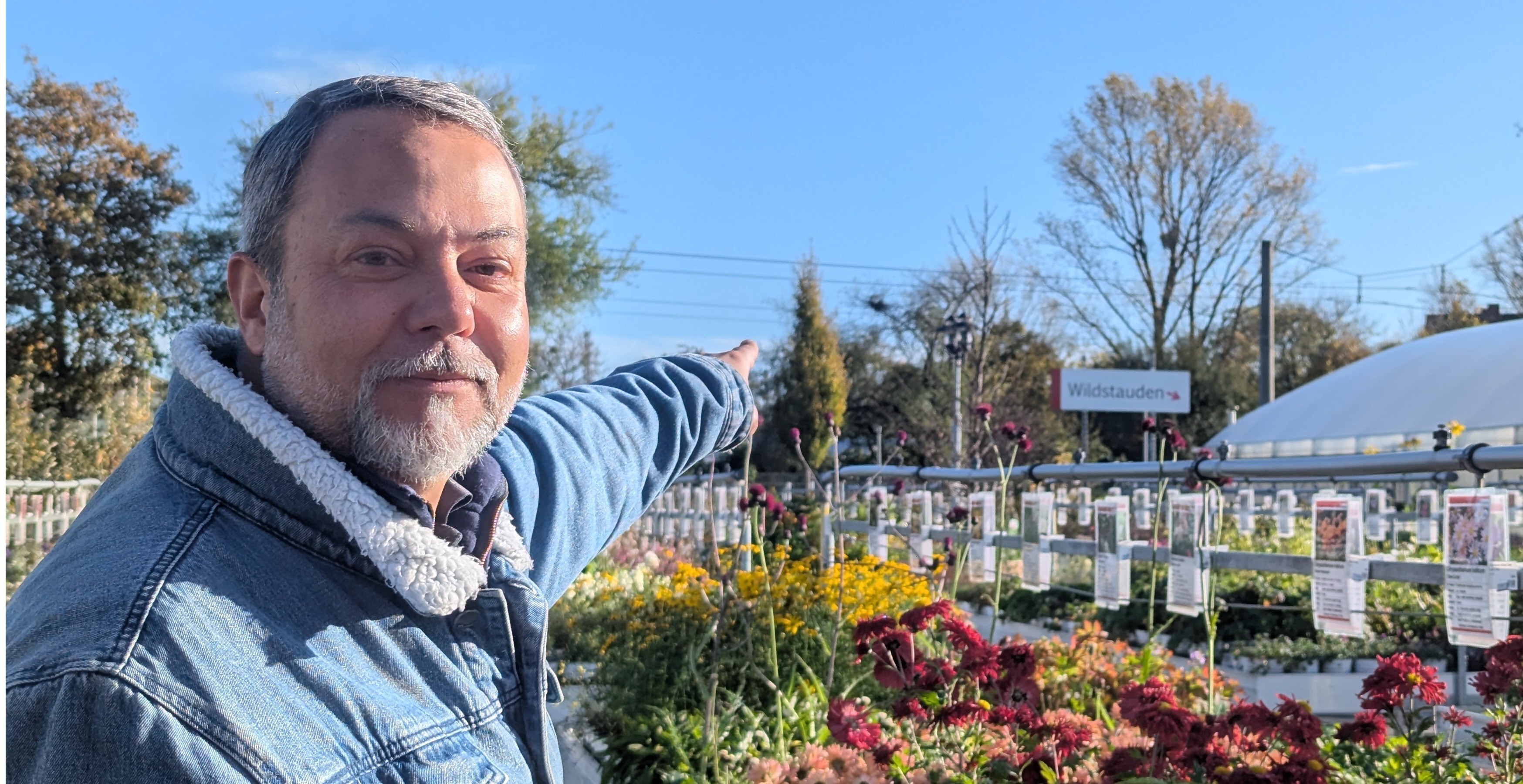 Janek Weber zeigt in der Alexianer Klostergärtnerei auf einen Baum mit einer Mistel in der Krone. Die Mistel ist schon ca. 40 Jahre alt.