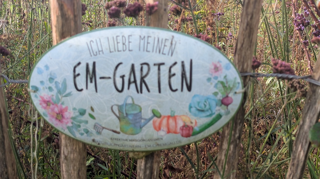 Im Kräutergarten werden Mikroorganismen von den Blattoberflächen geerntet.