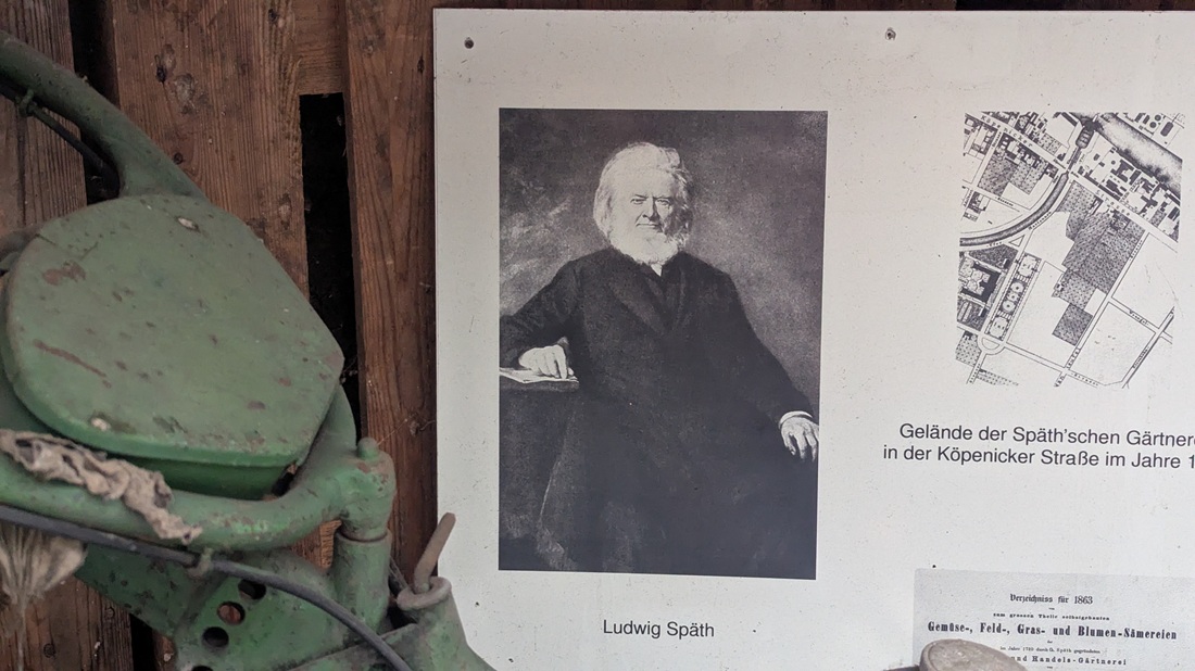 Überall in der Gärtnerei erinner Fotografien und Zeichnungen an die Geschichte der Baumschule.