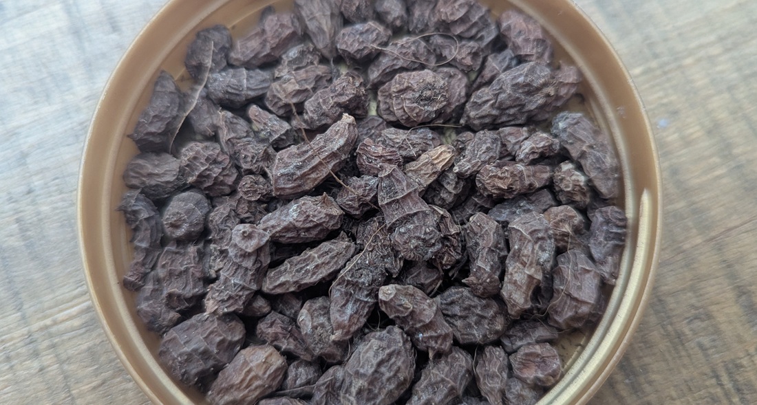 Die Erdmandel ist lecker, hat aber das Zeug zur invasiven Art. 