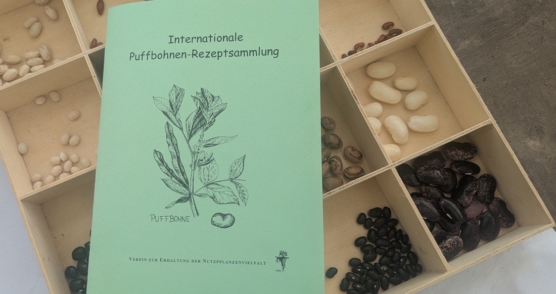 Über den VEN bekommt man auch Saatgut alter Sorten. 