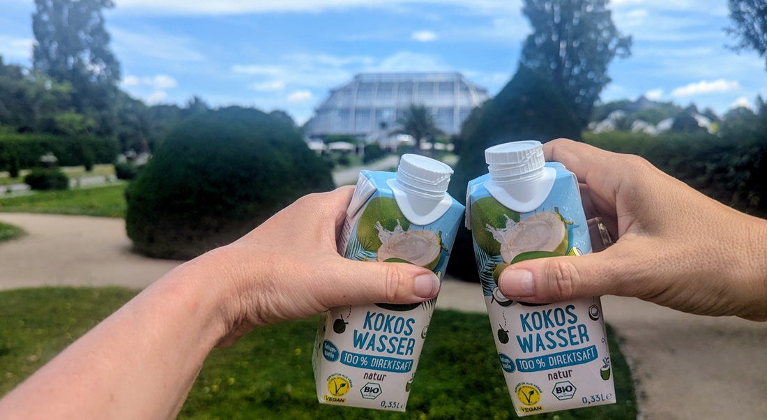 Anstoßen mit Kokoswasser, mit Blick auf eines der bedeutendsten historischen Tropenhäuser der Welt im Botanischen Garten Berlin-Dahlem.