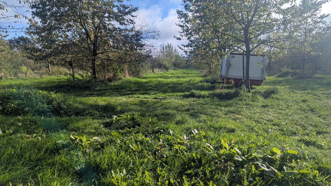Der Boomgardenpark Mitte Oktober.