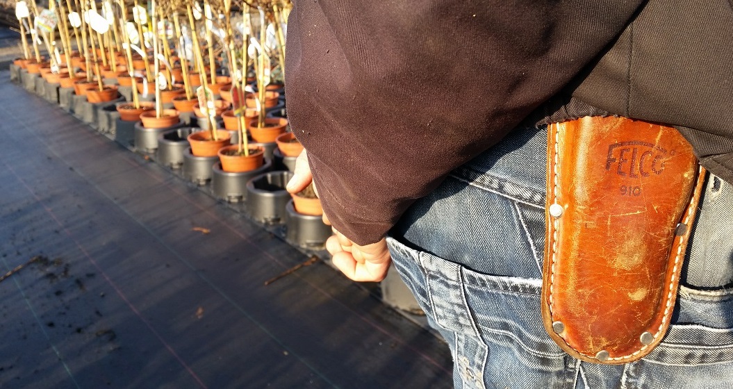 Im Frühling gehört die Schere an den Gärtner © GartenRadio.fm
