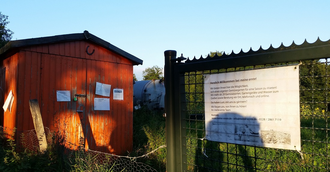 Abendstimmung mit Geräteschuppen © GartenRadio.fm