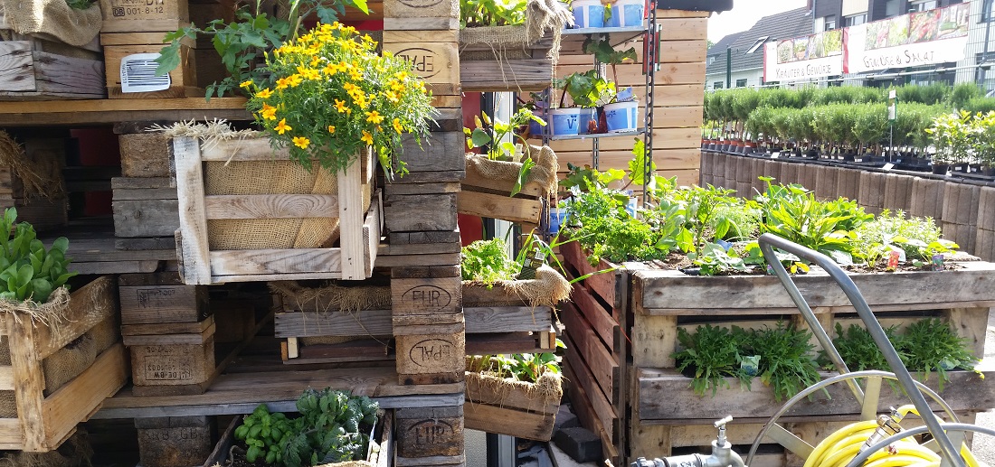 Zum Nachmachen geeignet: Kräuter in Weinkisten © GartenRadio.fm