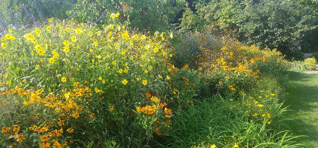 Natürlichkeit zeichnet den Präriegarten aus © Gartenradio.fm