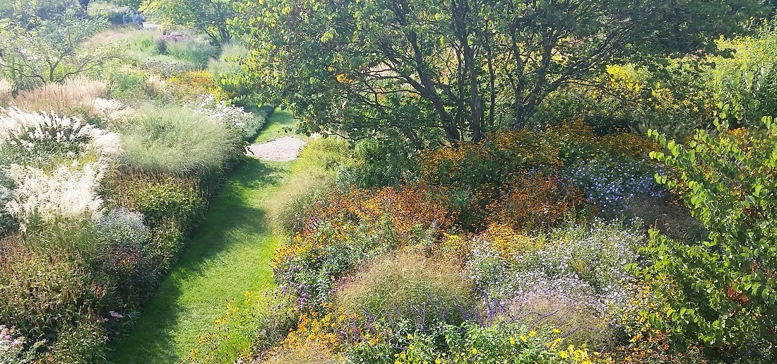 In Park und öffentlichen Gärten kann man sich Staudenkombinationen abgucken. Hier der Präriegarten in Weinheim © GartenRadio.fm