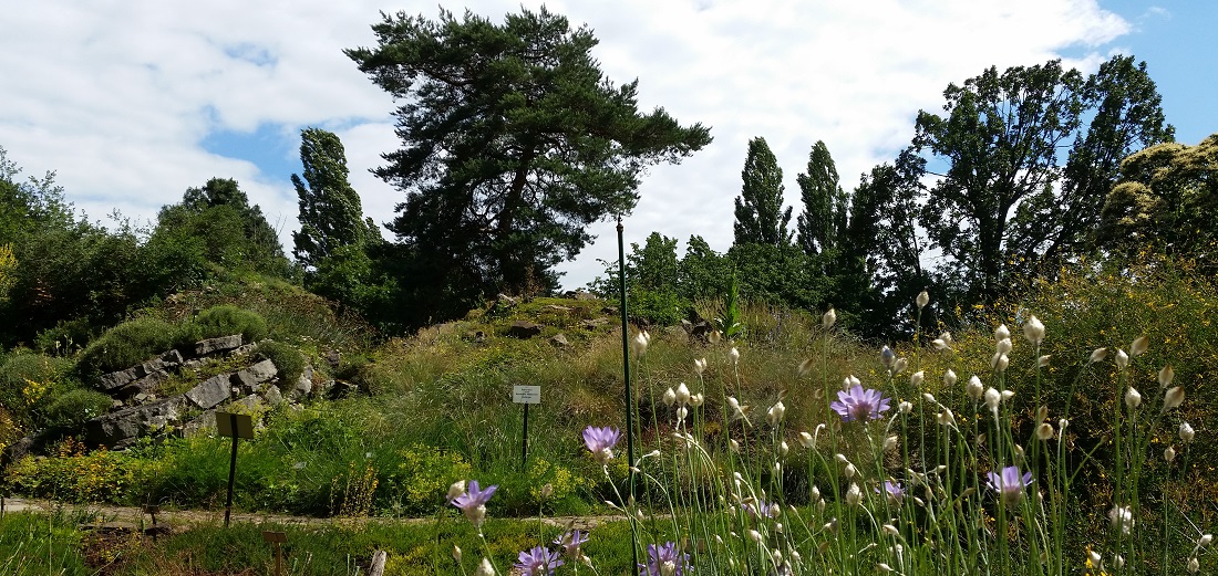 Die "Pyrenäen" im Botanischen Garten in Berlin-Dahlem © GartenRadio.fm