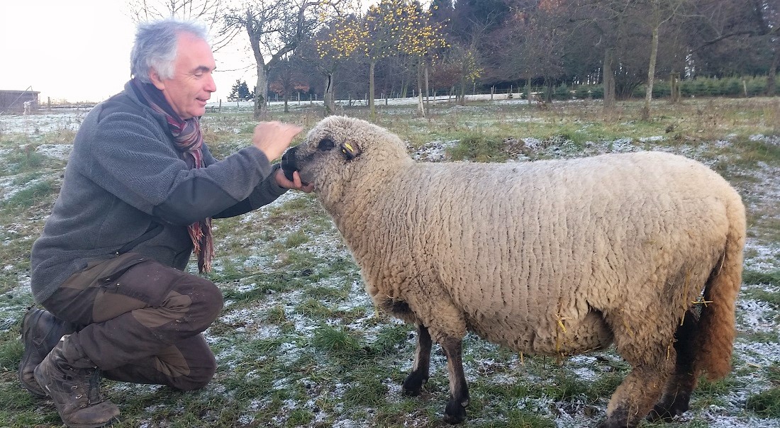 Stefan Lüdenbach und Schaf Nr. 65 © Gartenradio.fm