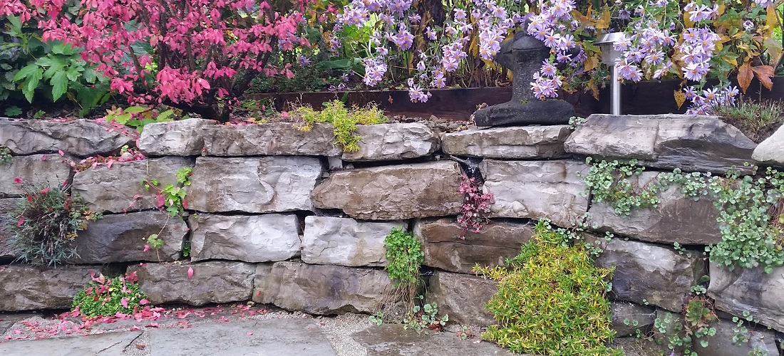 Die Mauer hat eine arbeitsintensive Hecke ersetzt © Gartenradio.fm 