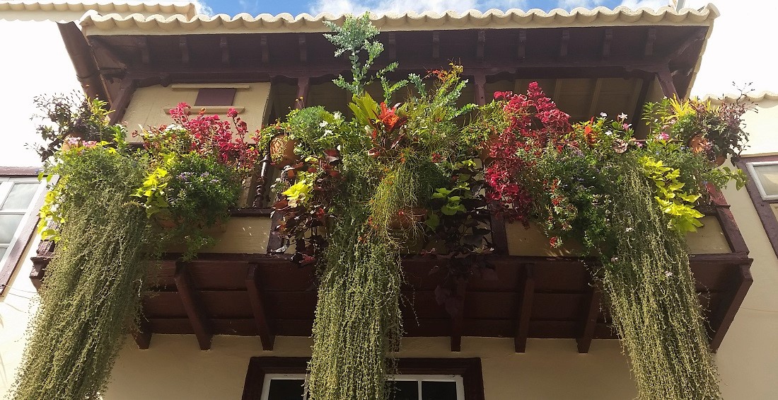 Die Avenida Maritima in der Haupstadt Santa Cruz de La Palma ist dank Heikos Balkonen zur Touristenattraktion geworden © GartenRadio.fm