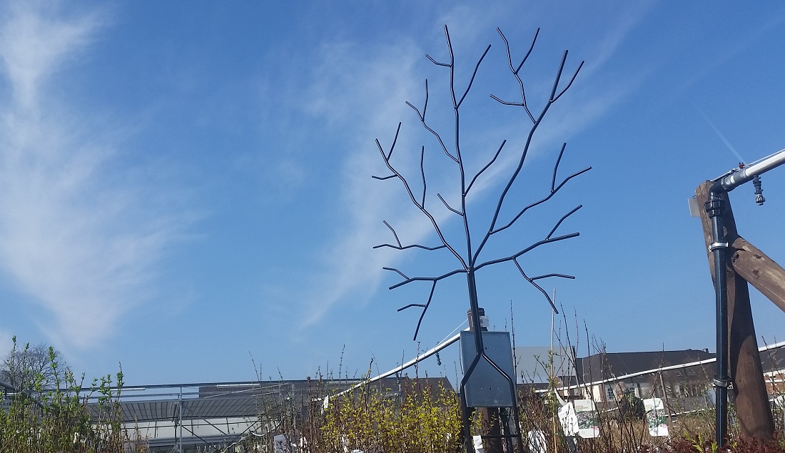 Auch das gibt dem Garten Struktur - ein Rankgitter in Baumform © GartenRadio.fm