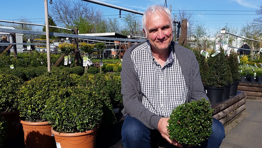 Ilex statt Buchsbaum empfiehlt Alexianer-Chef Marco Büttgenbach © GartenRadio.fm