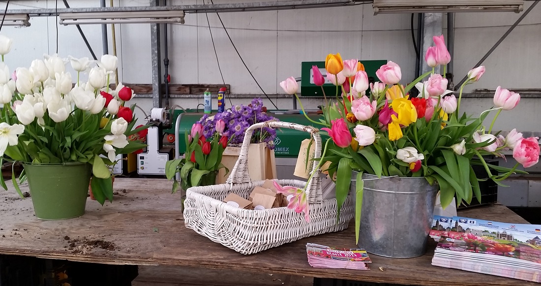 Annemiekes Sträuße kann man auf dem Biomarkt in Amsterdam oder in Haarlem kaufen © GartenRadio.fm