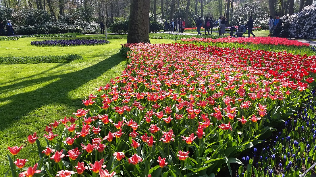 15 Kilometer Wege führen durch den Park