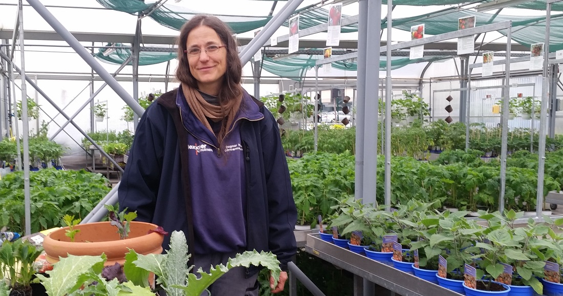 Gärtnermeisterin Dagmar Hauke kann sich für jede Art von Gemüse begeistern © GartenRadio.fm