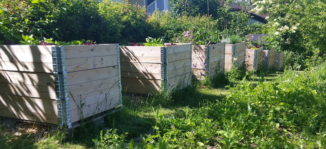 Hochbeete geben dem Garten Struktur © GartenRadio.fm