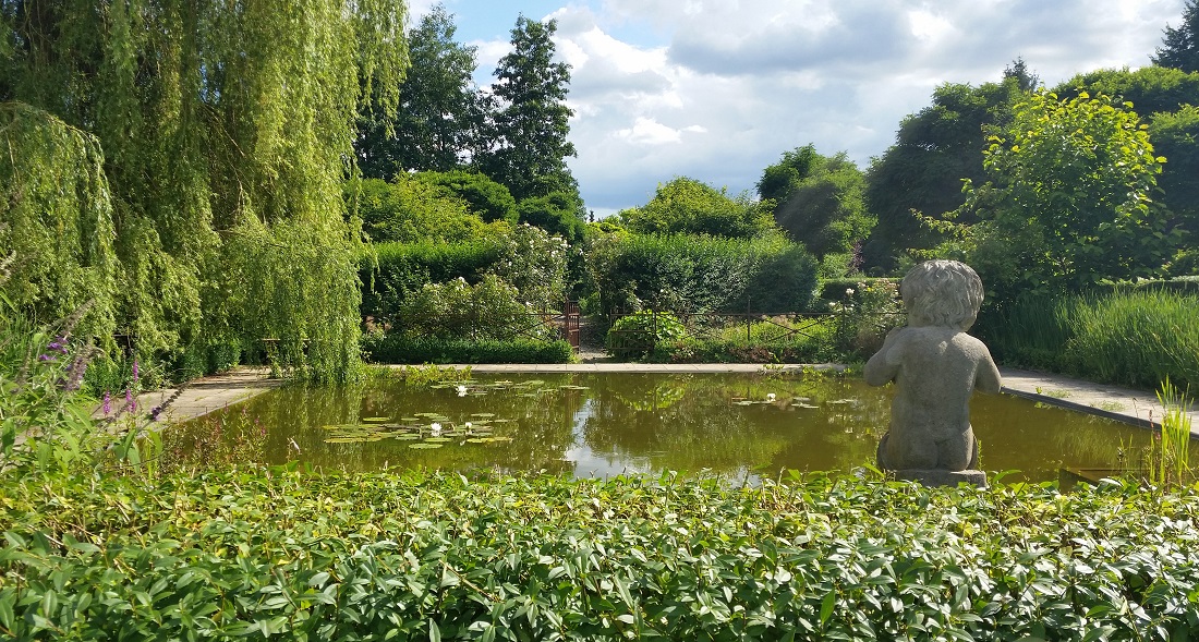 Klare Linien auch im Wassergarten © GartenRadio.fm