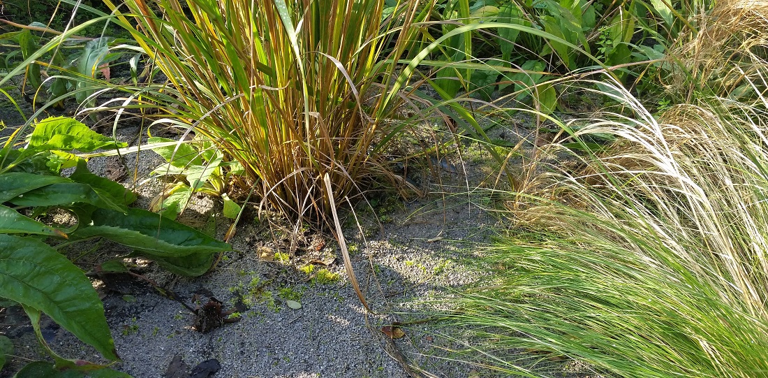 Pflanz-Zwischenräume sind mit Bändchengewebe belegt, und mit Kalkstein abgedeckt © GartenRadio.fm