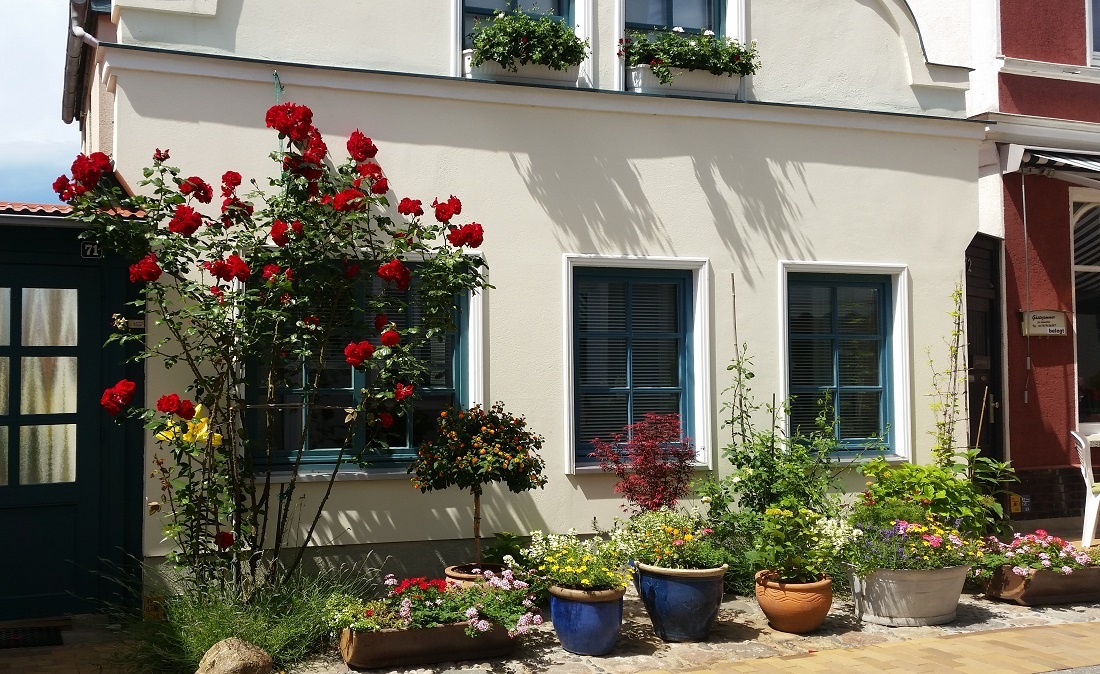 Bei Süd- und Westlage kann man von "voller Sonne" ausgehen Â© GartenRadio.fm