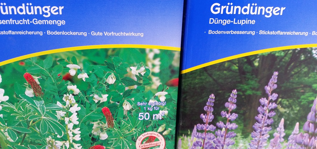 Lupinen wirken gleich zweifach gut. Sie liefern Stickstoff und lockern mit ihren langen Wurzeln den Boden auf © GartenRadio.fm