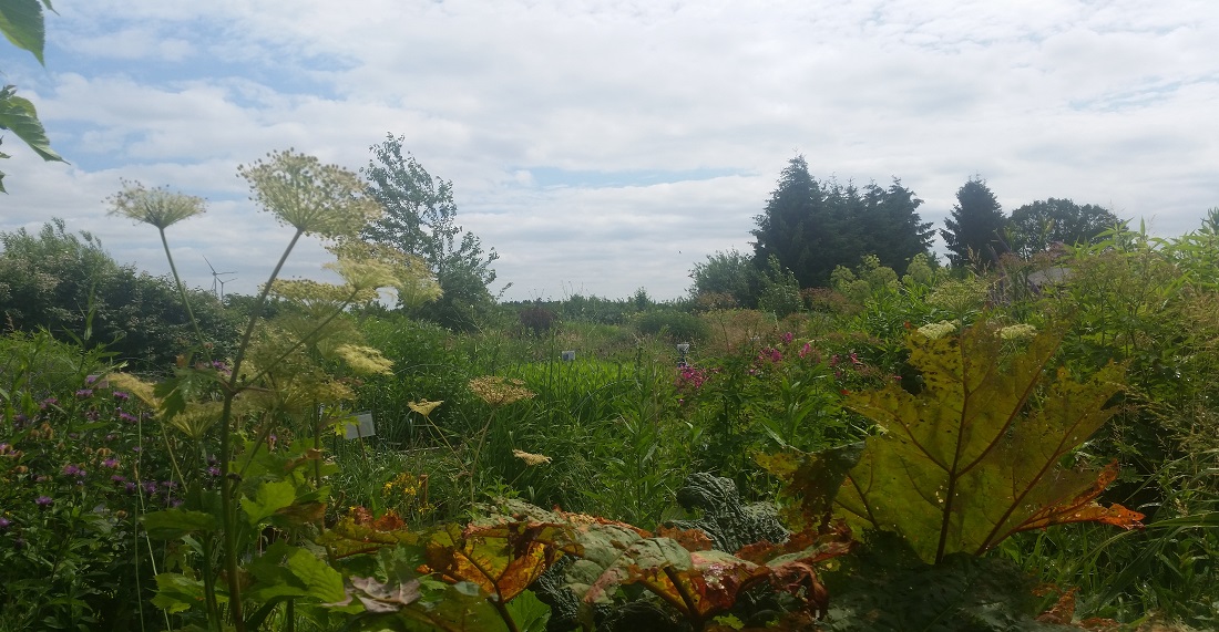 Die Gärtnerei Teske ist eine 1,3 Ha große Gartenlandschaft © GartenRadio.fm