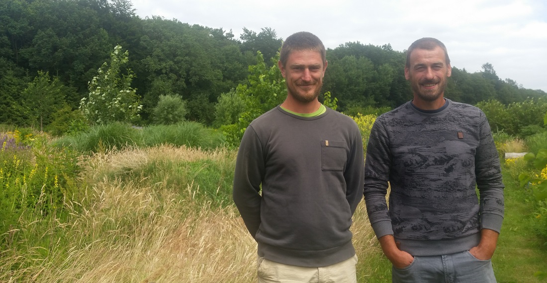 Jan Molzberger und Sebastian Teske setzen auf heimische Wildpflanzen © GartenRadio.fm