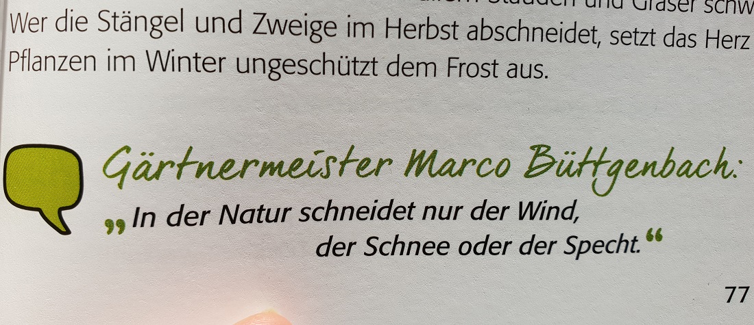 Für jeden Standort, gibt es Pflanzen in der passenden Größe. Man sollte sie nicht "passend" schneiden © GartenRadio.fm