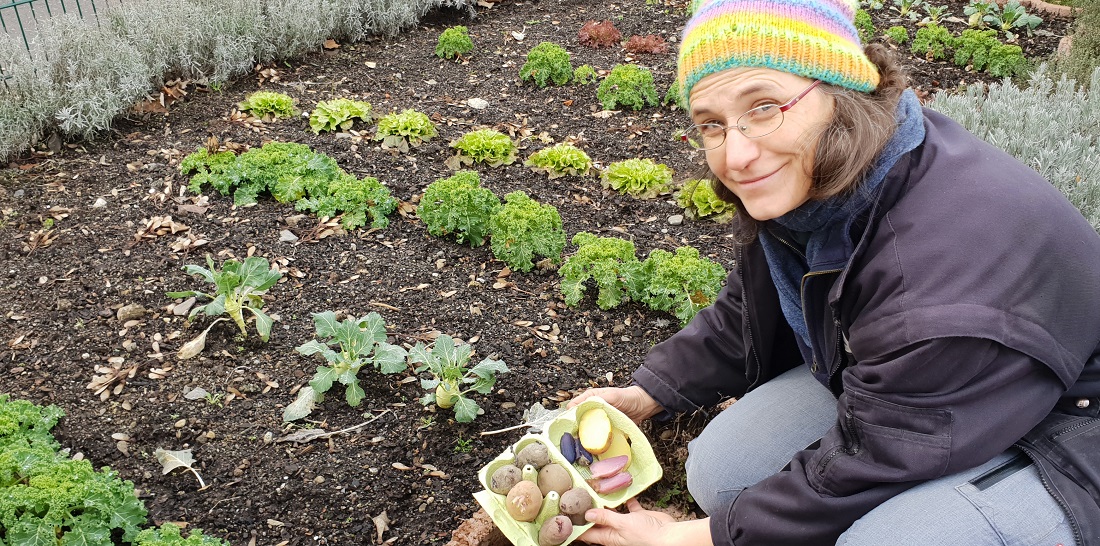 Gärtnermeisterin Dagmar Hauke lässt die Kartoffeln in Eierkartons keimen © GartenRadio.fm