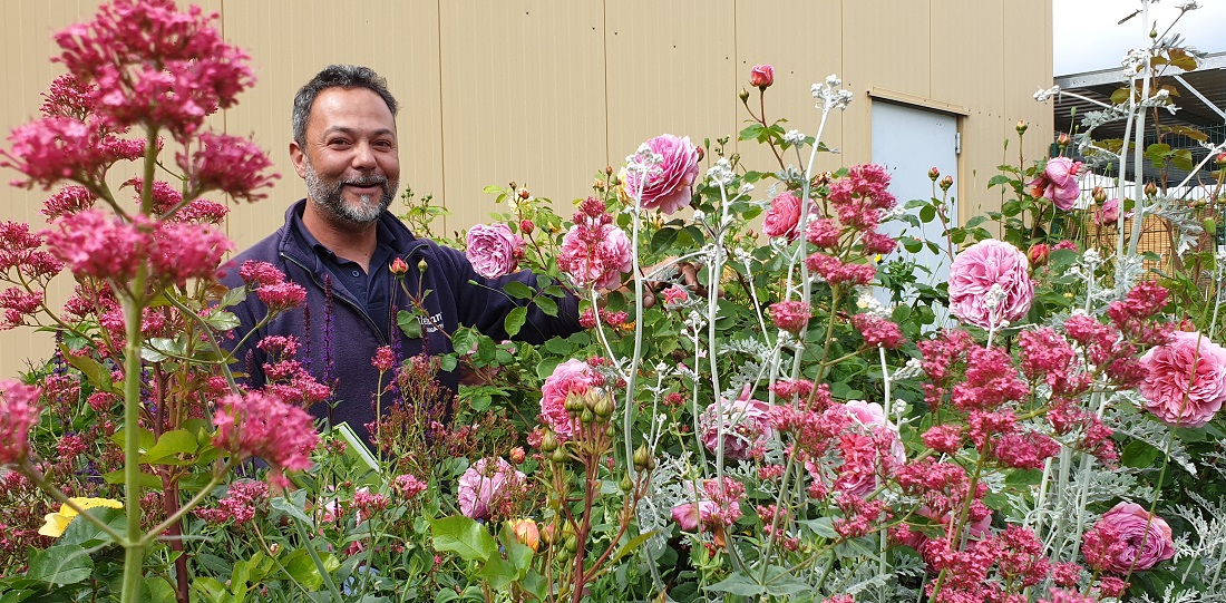 Gärtnermeister Janek Weber empfiehlt, ein Schnittblumenbeet anzulegen © GartenRadio.fm