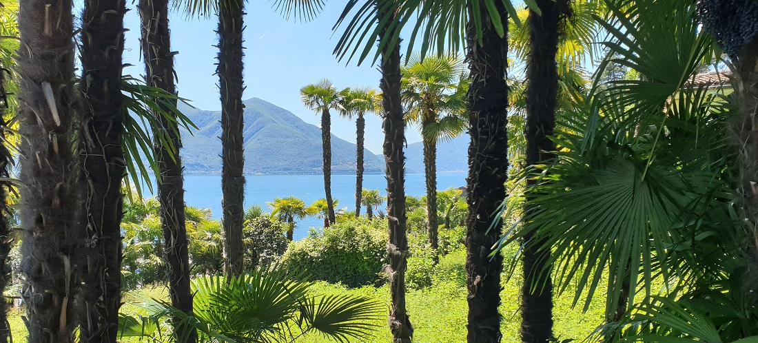 Zu schön, um wahr zu sein: der Blick über den Lago Maggiore © GartenRadio.fm