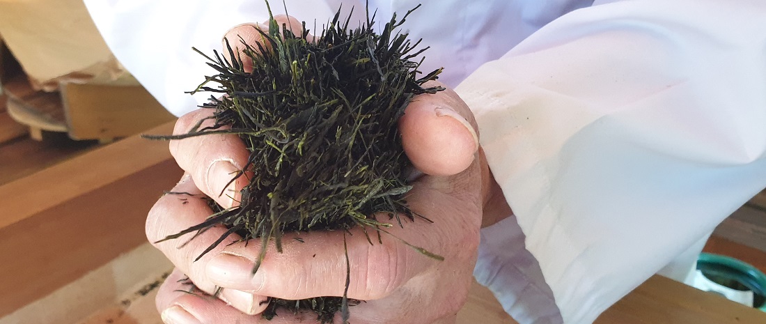 Jedes Blatt soll nach 5 - 6 Stunden Rollen so spitz wie eine Nadel sein © GartenRadio.fm