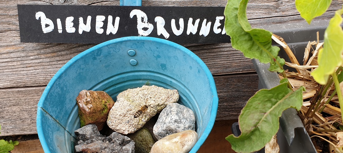 Die Steine im Bienenbrunnen 