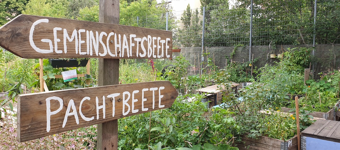 Das Himmelbeet hat 120 Gemeinschafts- und 170 Pachtbeete © GartenRadio.fm