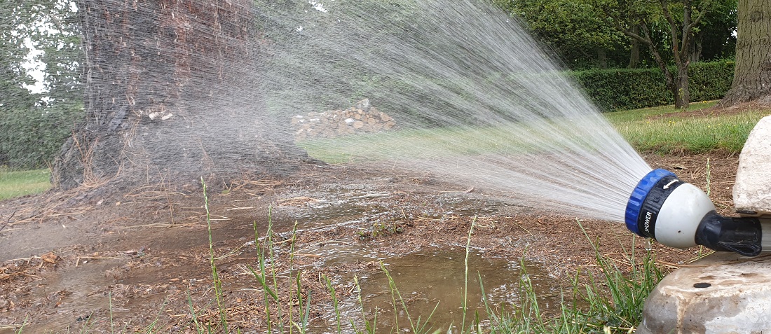 Ein Baum braucht mindestens 50 Liter Wasser pro Quadratmeter, wenn das Gießen nützen soll © GartenRadio.fm