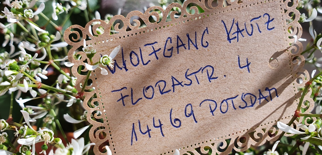 Per Postkarte kann man Rittersporne bei Wolfgang Kautz bestellen  © GartenRadio.fm