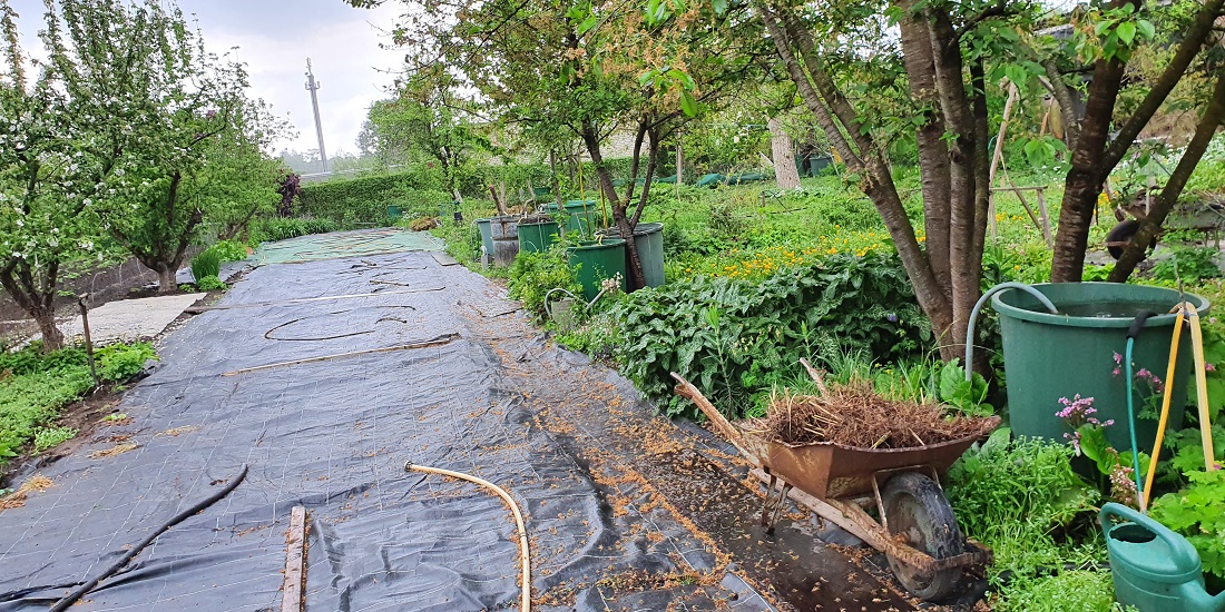 Da wo jetzt noch Plane liegt, wird im Sommer der Rittersporn vermehrt. © GartenRadio.fm