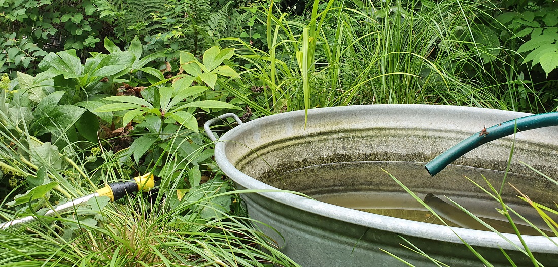 Einen Öko-Bonus gibt es aus für das Regenwassersammeln. Markus Phlippen nutzt eine Zisterne © GartenRadio.fm