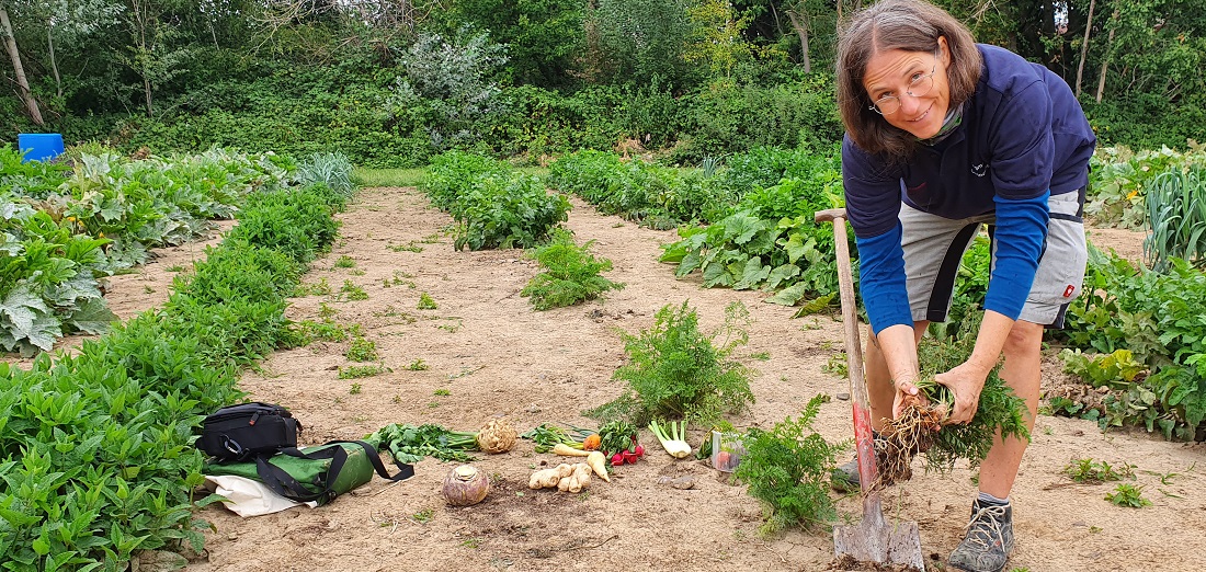 Gärtnermeisterin Dagmar Hauke freut sich, dass die Knollen-Vielfalt wieder wächst. © GartenRadio.fm