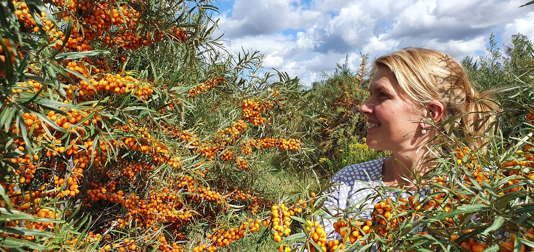 Dorothee Berger führt den Sanddornhof in zweiter Generation. © GartenRadio.fm