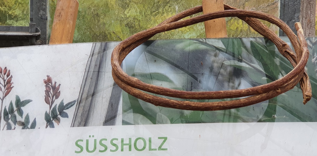 Im Mittelalter wurde das Süßholz in Ringen verkauft © GartenRadio.fm