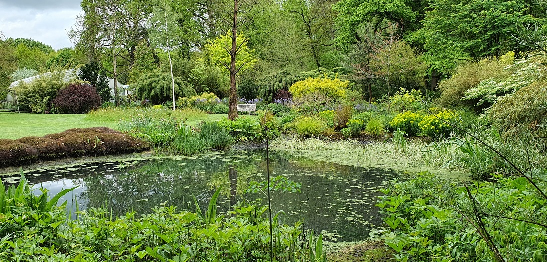 Der Waldgarten mit tropischer Anmutung © GartenRadio.fm