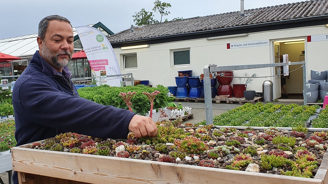 Janek Weber mit der Dachbegrünung einer "Mülltonnen-Garage" aus Sempervivem und Sedum © GartenRadio.fm