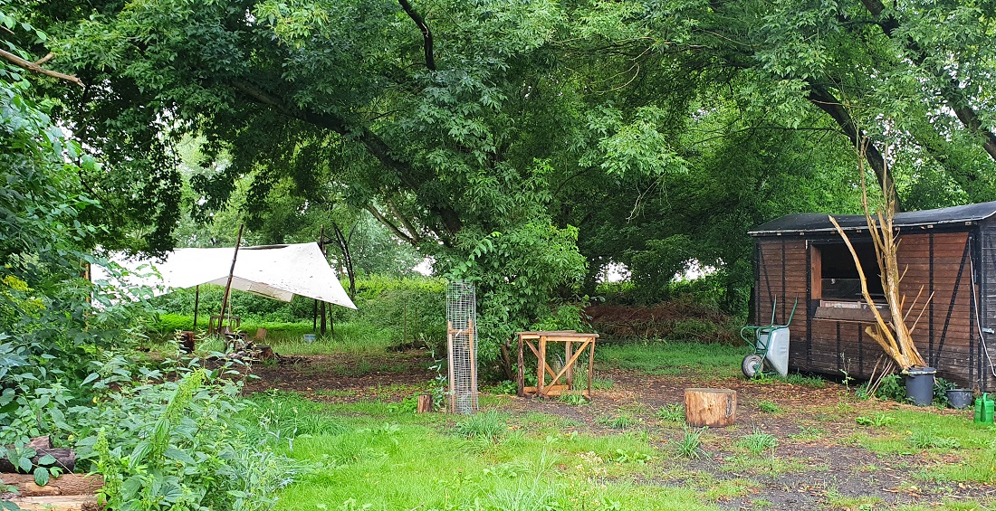 Treffpunkt für das Interview:  Der Waldgarten vom Gemeinschaftsprojekt "Die Frieda" im brandenburgischen Brück. © GartenRadio.fm