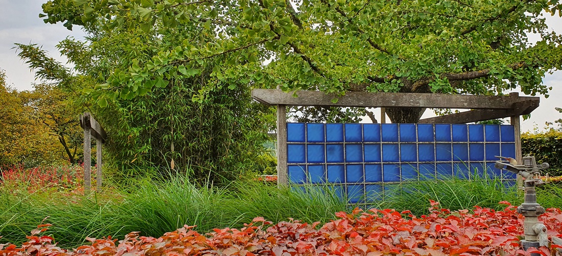 Ein Paravan aus blauen Glasbausteinen macht aus dem Platz unter dem Gingkobaum eine grün-blaue Lounge. © GartenRadio.fm