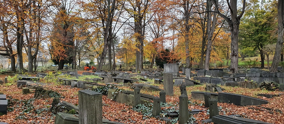 Ein Friedhof wie ein lichter Wald. © GartenRadio.fm