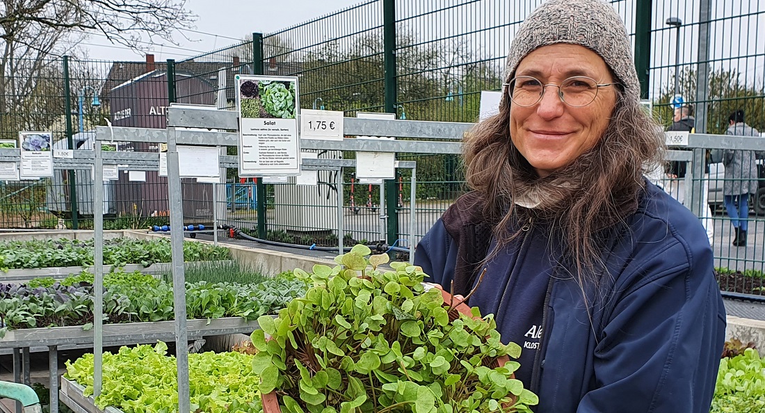 In der "vergessenen" Kompost-Erde der Tomaten vom letzten Jahr, wächst Postelein von ganz alleine. © GartenRadio