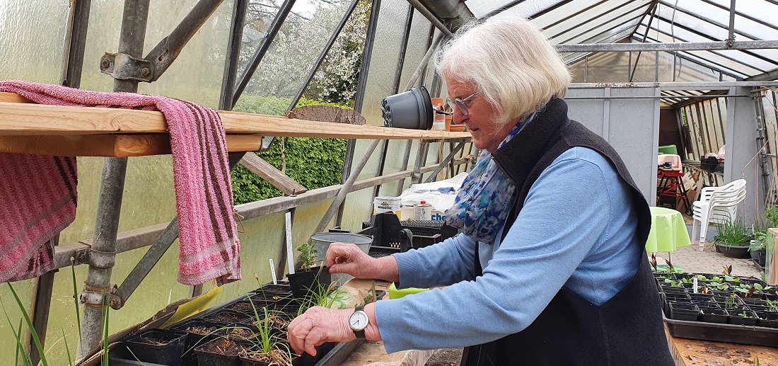 Anke Boekhoff hat im Jahr 2018 den Förderverein Ernst Pagels Garten e.V. gegründet, um das Gelände zu retten. © GartenRadio