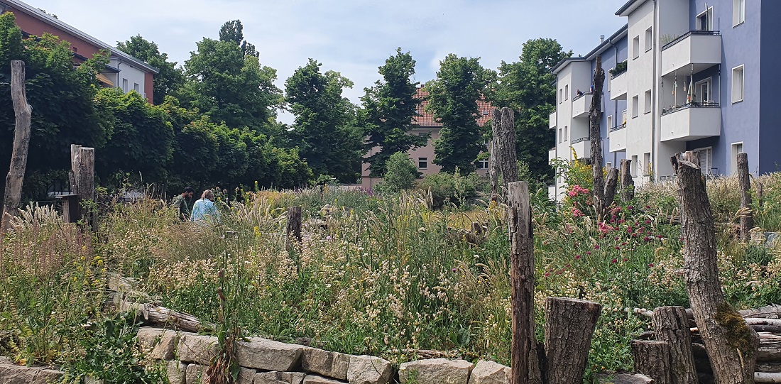 Blühwiese und Blühinseln statt Rasenfläche in Berlin Reinickendorf © GartenRadio.fm